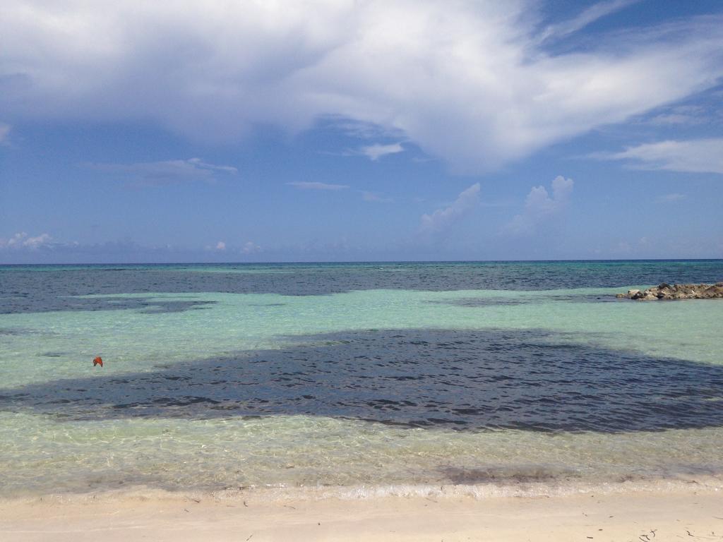Seacastles By The Beach/Pool Montego Bay Exterior photo